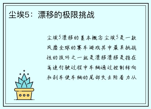 尘埃5：漂移的极限挑战
